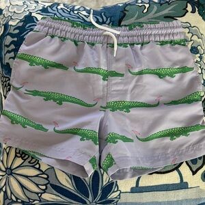 The Beaufort Bonnet Company Green and Lavender Kids Swim Trunks